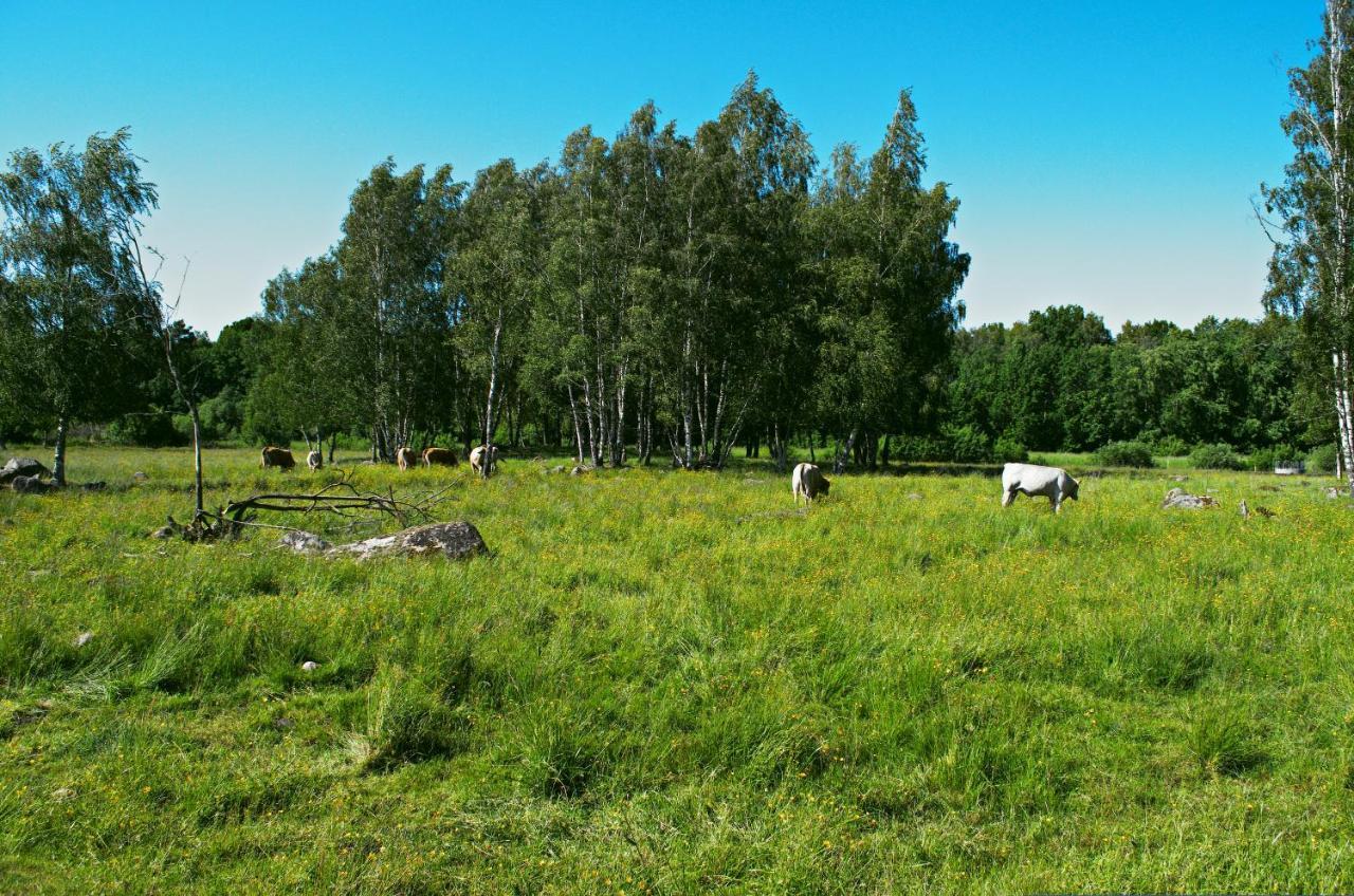 Gaeststugan Skara község Kültér fotó
