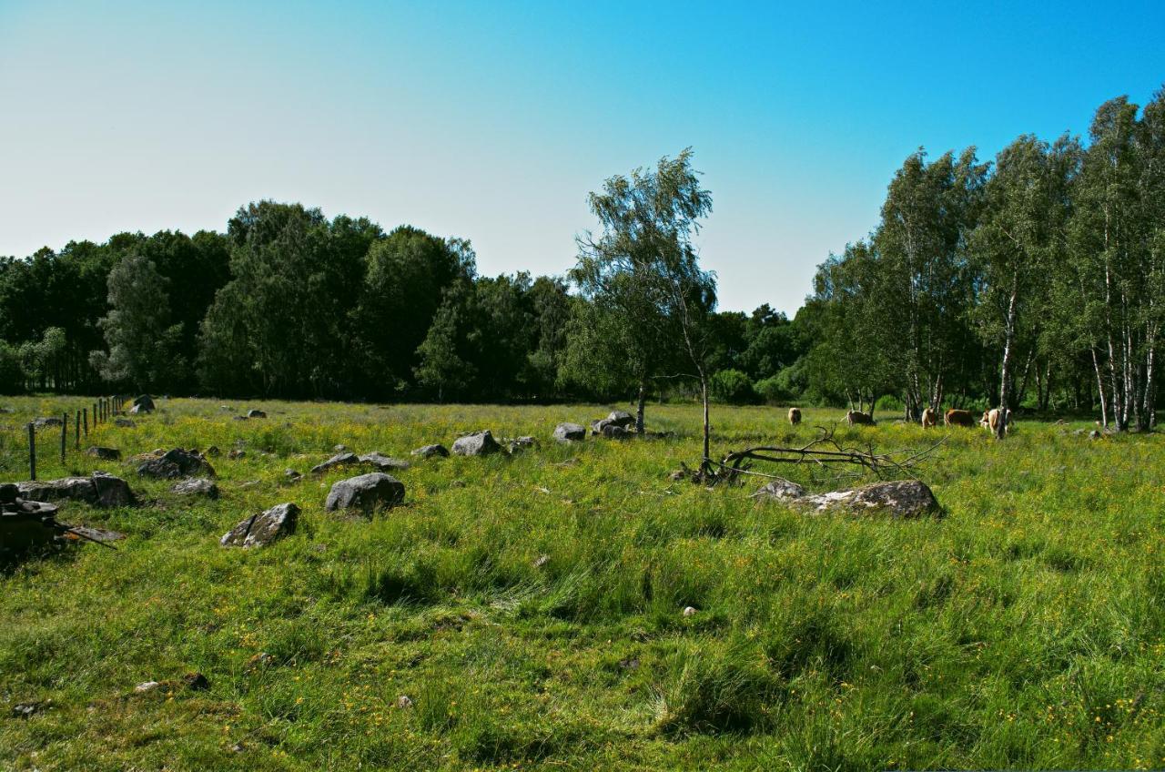 Gaeststugan Skara község Kültér fotó