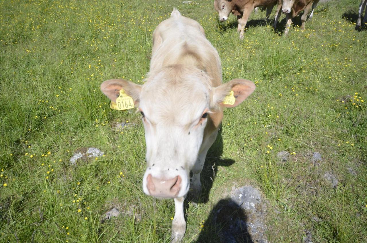Gaeststugan Skara község Kültér fotó