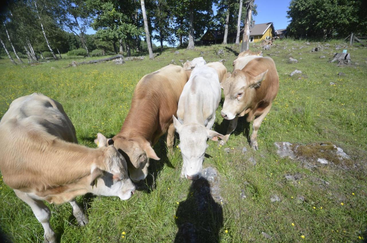 Gaeststugan Skara község Kültér fotó